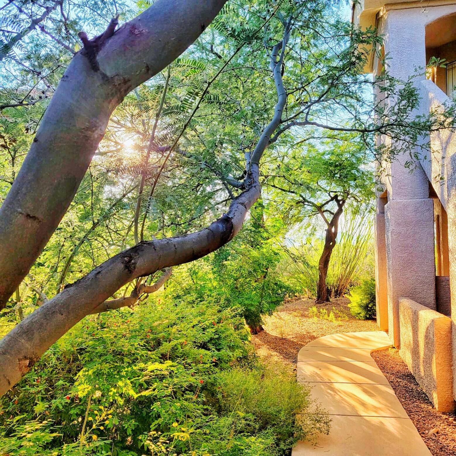 Luxury 3Bd 2Ba Home Near Tucson With Desert Views - Low Summer Rates! Oro Valley Exterior foto