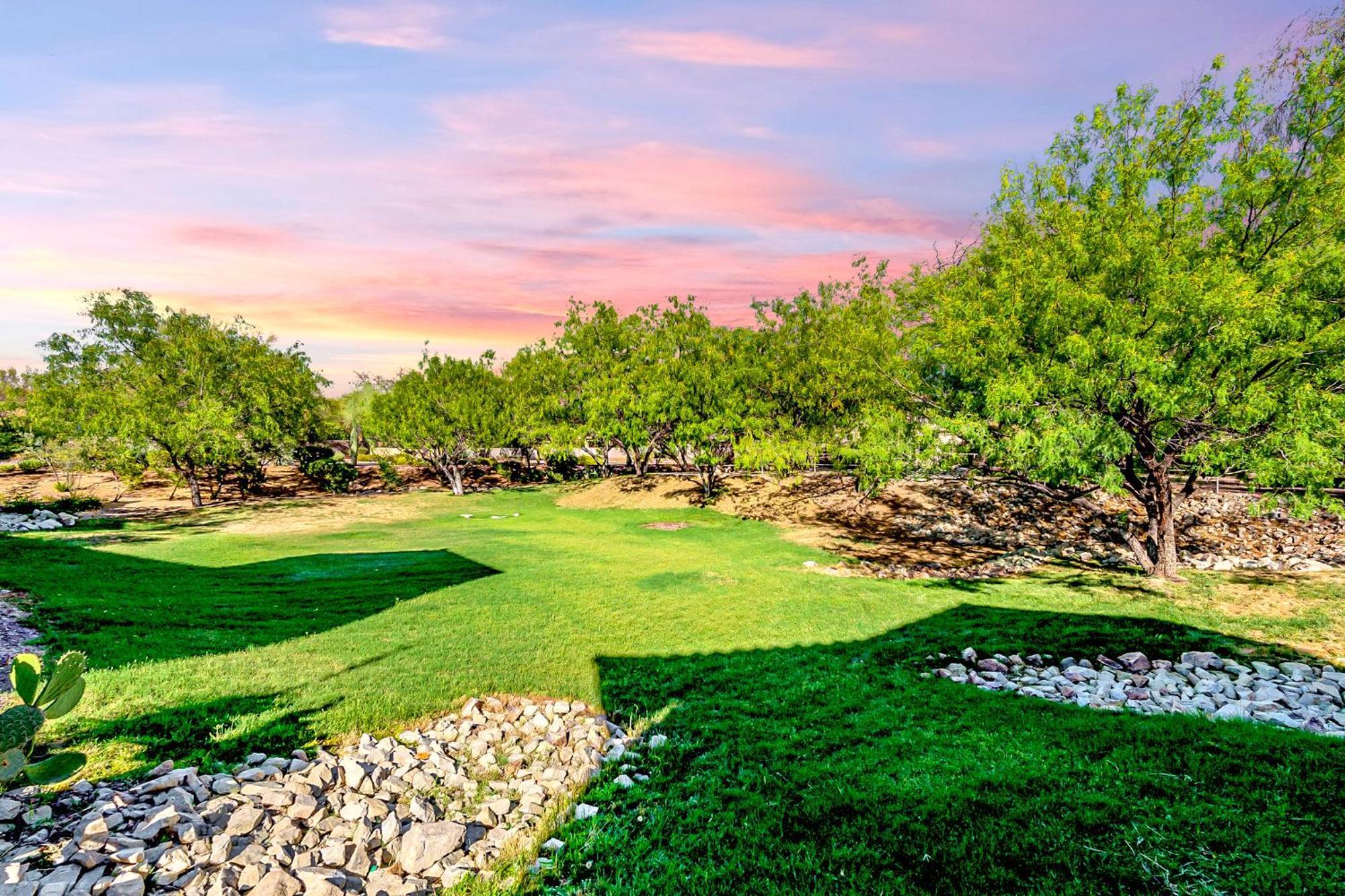 Luxury 3Bd 2Ba Home Near Tucson With Desert Views - Low Summer Rates! Oro Valley Exterior foto